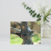 Red Winged Blackbird Briefkaart (Staand voorkant)