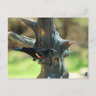 Red Winged Blackbird Briefkaart