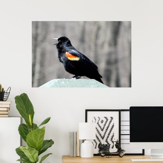 Red Winged Blackbird Call to Spring Poster (Thuiskantoor)