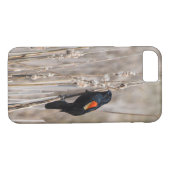Red Winged Blackbird Case-Mate iPhone Case (Achterkant (Horizontaal))