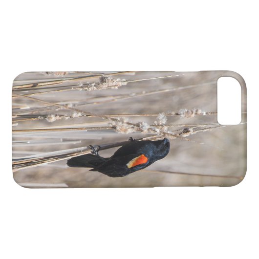 Red Winged Blackbird Case-Mate iPhone Case (Achterkant (Horizontaal))