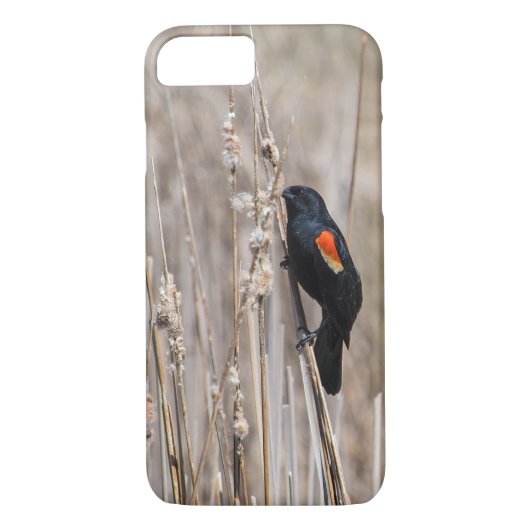 Red Winged Blackbird Case-Mate iPhone Case (Achterkant)
