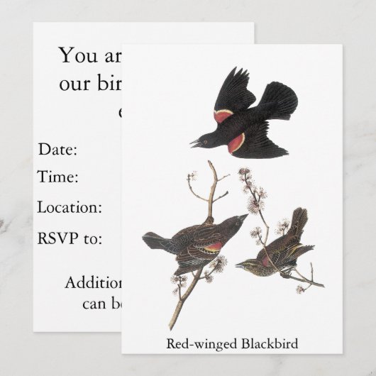 Red-Winged Blackbird, John Audubon Kaart (Voorkant / Achterkant)