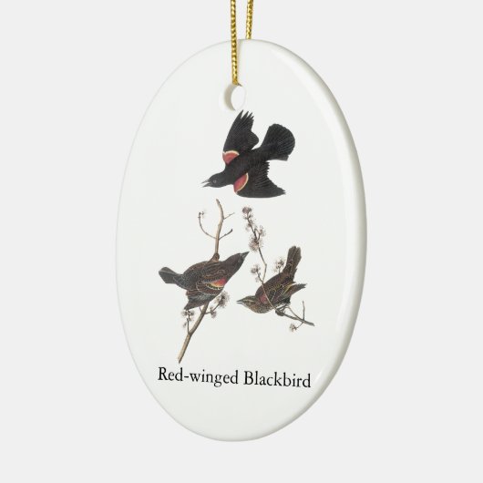 Red-Winged Blackbird, John Audubon Keramisch Ornament (Links)