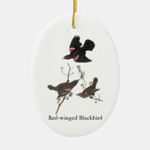Red-Winged Blackbird, John Audubon Keramisch Ornament