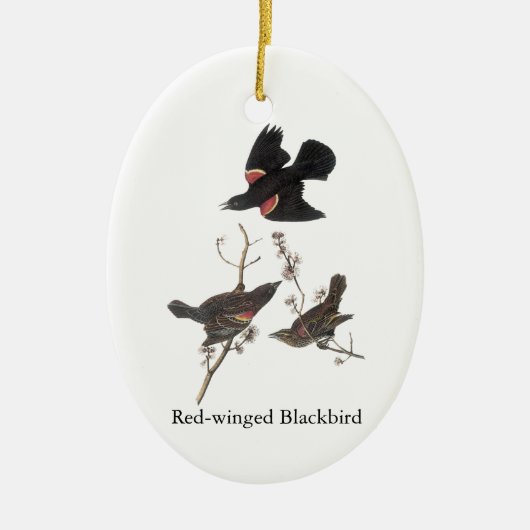 Red-Winged Blackbird, John Audubon Keramisch Ornament (Voorkant)