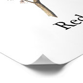 Red-Winged Blackbird, John Audubon Poster (Hoek)