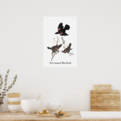 Red-Winged Blackbird, John Audubon Poster (Keuken)