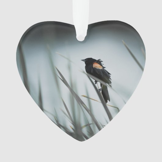 Red-winged Blackbird Marsh Dated Photo Custom Ornament (voorkant)