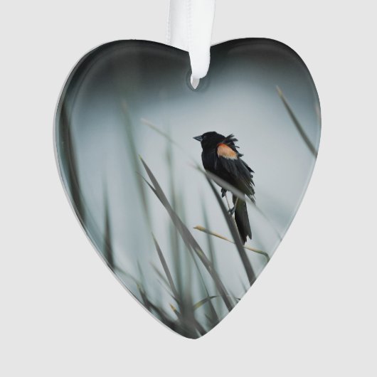 Red-winged Blackbird Marsh Dated Photo Custom Ornament (voorkant)