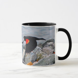 RED-WINGED BLACKBIRD - mok