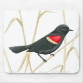Red-Winged Blackbird Mousepad Muismat (Voorkant)