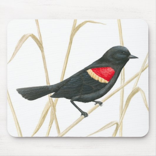 Red-Winged Blackbird Mousepad Muismat (Voorkant)