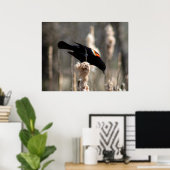 Red Winged Blackbird Poster (Thuiskantoor)