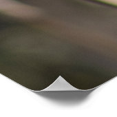 Red Winged Blackbird Poster (Hoek)