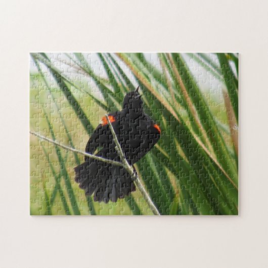 Red Winged Blackbird Singing - Bird Jigzaag Puzzle Legpuzzel (Horizontaal)