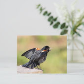 Red Winged Blackbird Singing Briefkaart (Staand voorkant)