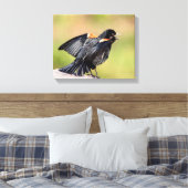 Red Winged Blackbird Singing Canvas Afdruk (Insitu (Slaapkamer))