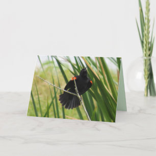 Red Winged Blackbird Singing Folded Kaart
