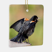 Red Winged Blackbird Singing Keramisch Ornament (Rechts)