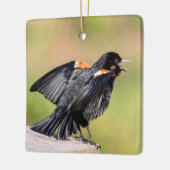Red Winged Blackbird Singing Keramisch Ornament (Links)