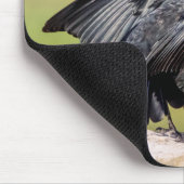 Red Winged Blackbird Singing Muismat (Hoek)