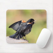 Red Winged Blackbird Singing Muismat (Met muis)