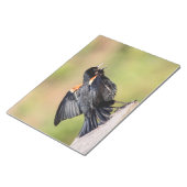 Red Winged Blackbird Singing Notitieblok (Schuin)