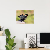 Red Winged Blackbird Singing Poster (Thuiskantoor)