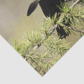 Red Winged Blackbird - Veer niet op zijn plaats Tissuepapier (Detail)