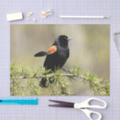 Red Winged Blackbird - Veer niet op zijn plaats Tissuepapier (Craft)