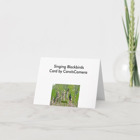 Red-Winged Merels op de Kaart van de Nota Cattails (Achterkant)