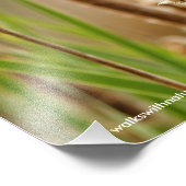 Red-Winged zwarte vogel in de moeras Foto Afdruk (Hoek)