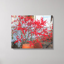 Red Winter Berries - Martha's wijngaard Canvas Afdruk