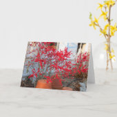 Red Winter Berries - Martha's wijngaard Kaart (Gele Bloem)