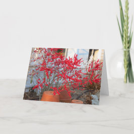 Red Winter Berries - Martha's wijngaard Kaart