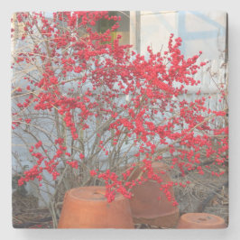 Red Winter Berries - Martha's wijngaard Stenen Onderzetter