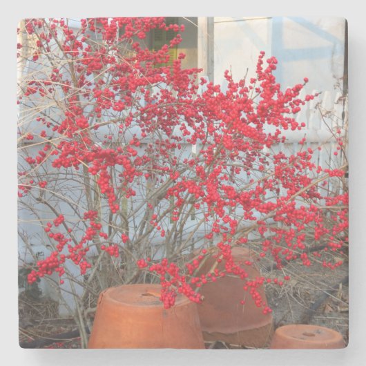 Red Winter Berries - Martha's wijngaard Stenen Onderzetter (Voorkant)