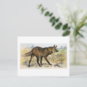 Red Wolf Briefkaart (Staand voorkant)