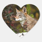 Red Wolf Hart Sticker (Voorkant)