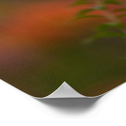 Red Wolf Poster (Hoek)