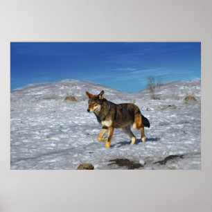 Red Wolf Winter Februari 2011 Poster