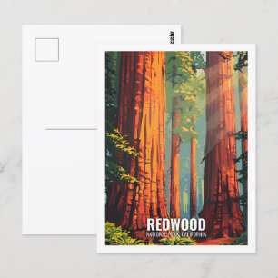 Red Wood National Park, Californië, Verenigde Stat Briefkaart