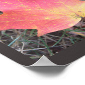 Red Yellow Autumn Leaf Poster (Hoek)