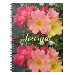 Red Yellow Rose Flower Florence Rozen Journal Notitieboek