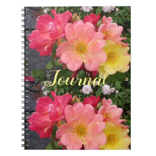 Red Yellow Rose Flower Florence Rozen Journal Notitieboek (Voorkant)