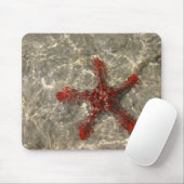 Red Zee Star - Mousepad Muismat (Met muis)