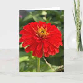 Red Zinnia Blank Note Card Bedankkaart