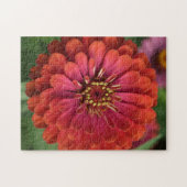 Red zinnia - floral Puzzle with Gift Box Legpuzzel (Horizontaal)