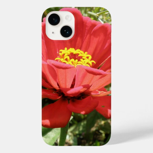 Red Zinnia iPhone 4 Case (Achterkant)